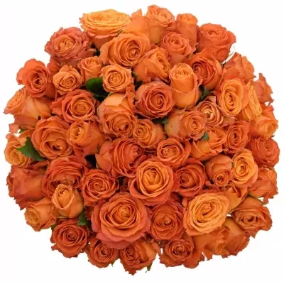Kytice 55 oranžových růží CLARENCE+ 60cm