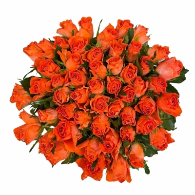 Kytice 55 oranžových růží COMANCHE 60 cm