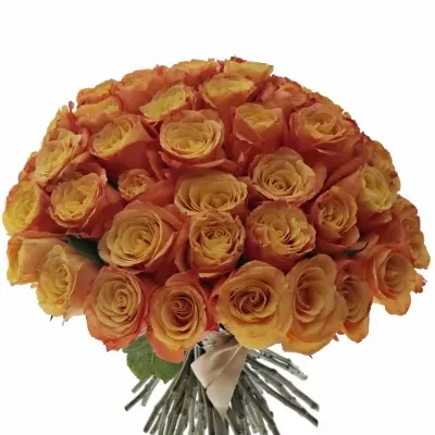 Kytice 55 oranžových růží CONFIDENTIAL 35cm