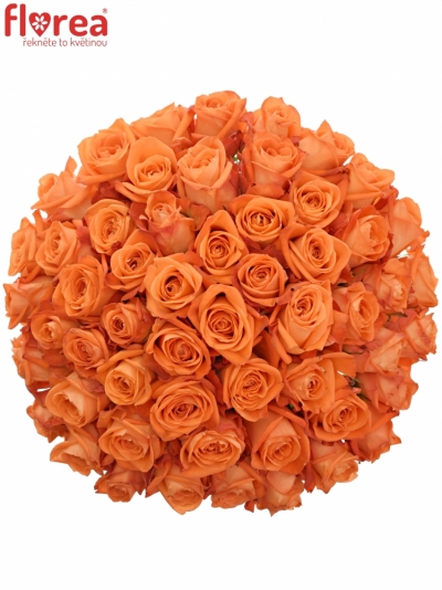 Kytice 55 oranžových růží COPACABANA 70cm
