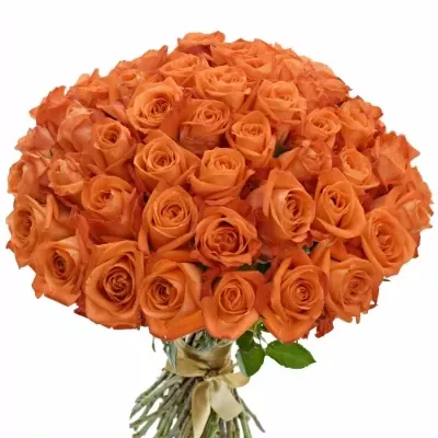 Kytice 55 oranžových růží COPACABANA 50cm