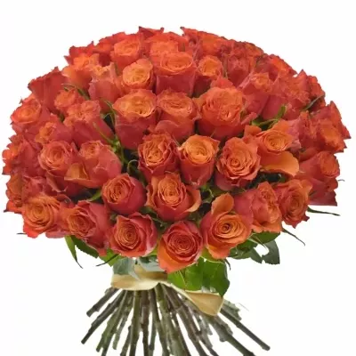 Kytice 55 oranžových růží DEVOTED