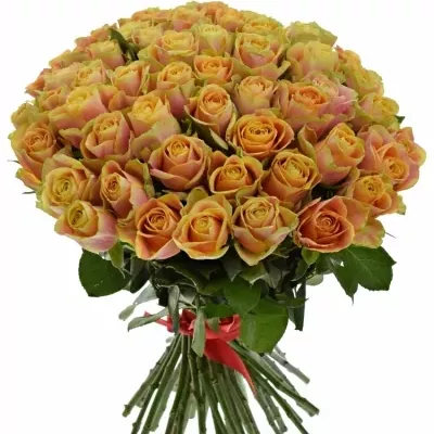 Kytice 55 oranžových růží MARACUJA 40cm