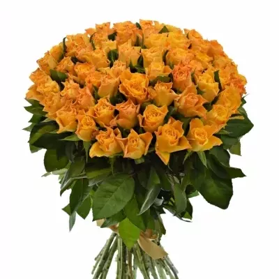 Kytice 55 oranžových růží MARIE-CLAIRE! 60cm