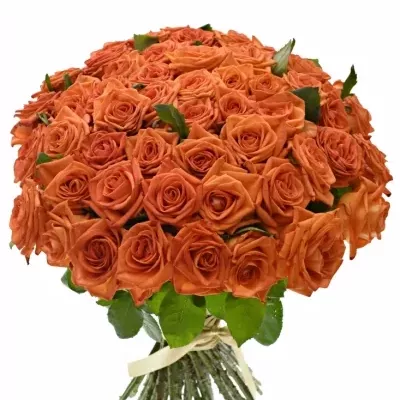 Kytice 55 oranžových růží NARANGA