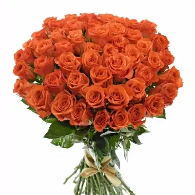 Kytice 55 oranžových růží PATZ 50cm