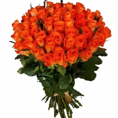 Kytice 55 oranžových růží TROPICAL AMAZONE