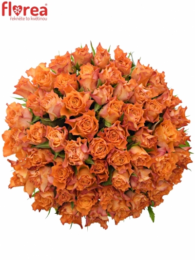 Kytice 55 oranžových růží MARIYO! 50cm