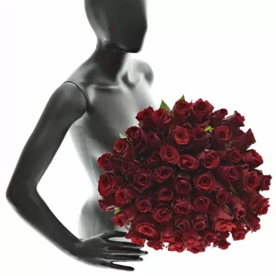 Kytice 55 rudých růží EXPLORER 60cm