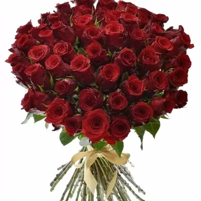 Kytice 55 rudých růží INCREDIBLE 60cm