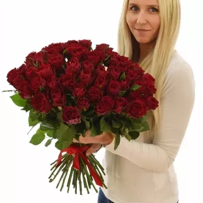 Kytice 55 rudých růží MADAM RED 40cm 