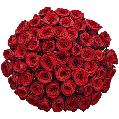 Jednodruhová kytice 55 červených růží RED NAOMI! 60 cm