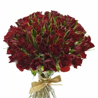 Kytice 55 rudých růží RED TIFFANY