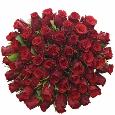Kytica 55 červených ruží RED TORCH 70cm