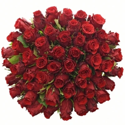 Kytice 55 rudých růží RED TORCH