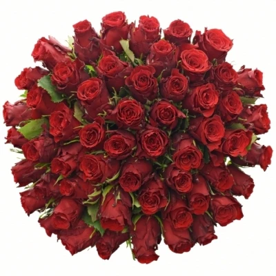 Kytice 55 rudých růží RED TORCH