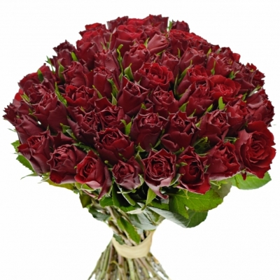 Kytice 55 rudých růží RED VALENTINO 