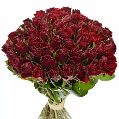 Kytice 55 rudých růží UPPER CLASS 40cm (S)