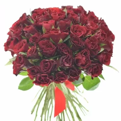 Kytice 55 růží červených TORERO 30cm
