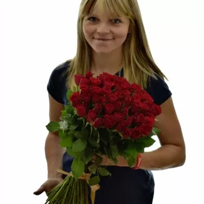 Kytice 55 růží RED CALYPSO v délce 50cm