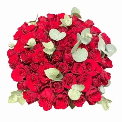 Jednodruhová kytice 55 červených růží UPPER CLASS 60 cm