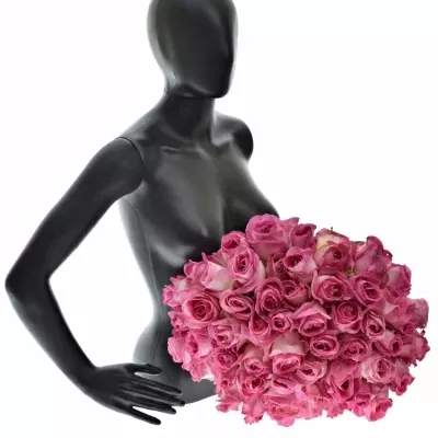 Kytice 55 růžových růží AVALANCHE CANDY+ 60cm