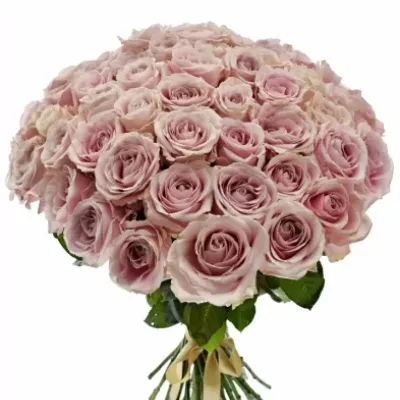 Kytice 55 růžových růží AVALANCHE PINK+ 60cm