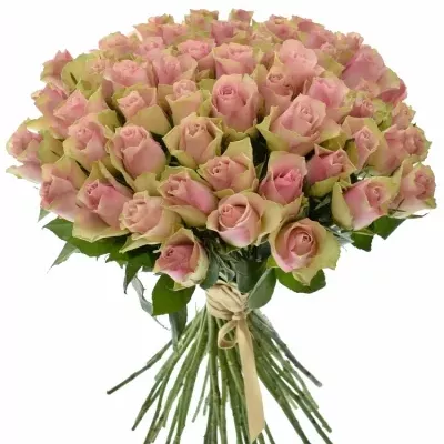 Kytice 55 růžových růží BELLE ROSE 50cm