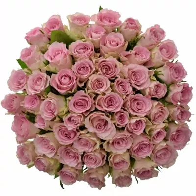 Kytice 55 růžových růží BISOU 40cm 