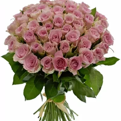 Kytice 55 růžových růží BISOU 50cm 