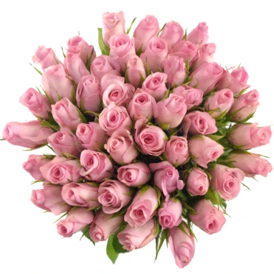 Kytice 55 růžových růží BLUSHING AKITO