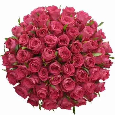 Kytice 55 růžových růží CANDIDATE!