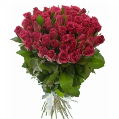 Kytice 55 růžových růží CERISE SUCCESS