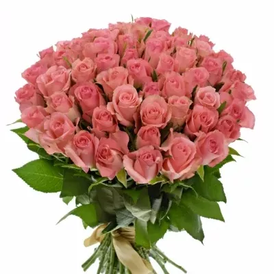 Kytice 55 růžových růží DEKORA 50cm