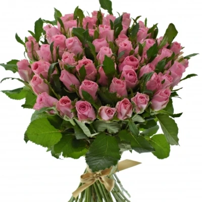 Kytice 55 růžových růží ELIZA 50cm