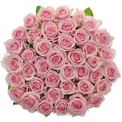 Kytice 55 růžových růží HEAVEN 50cm