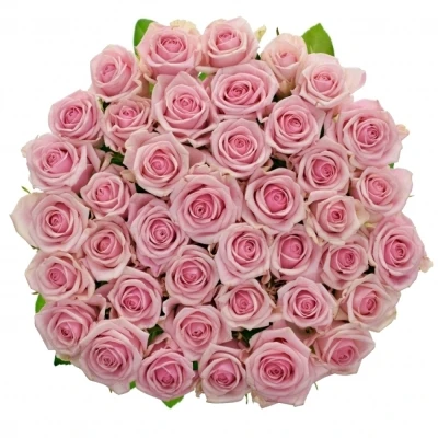 Kytice 55 růžových růží HEAVEN 50cm