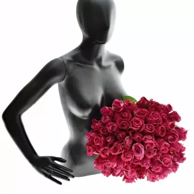 Kytice 55 růžových růží ISADORA 40cm