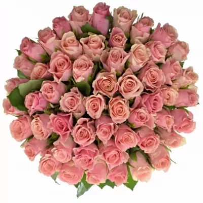 Kytice 55 růžových růží LIGHT PINK TACAZZI+ 40cm