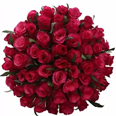 Kytice 55 růžových růží NATURES WILD 55cm