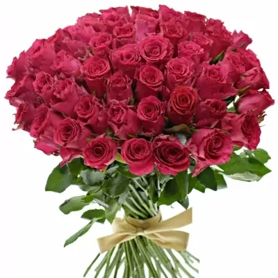 Kytice 55 růžových růží Pink Rhodos 40cm