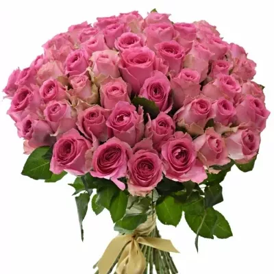 Kytice 55 růžových růží SHANGHAI LADY 40cm 