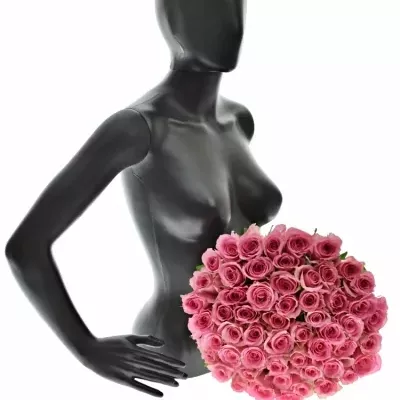 Kytice 55 růžových růží SMOOTHIE 60cm