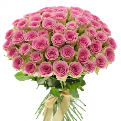 Kytice 55 růžových růží TIMES SQUARE