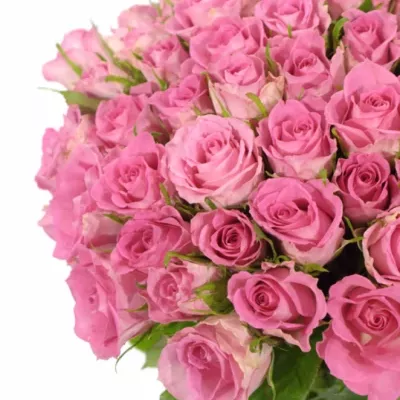 Kytice 55 růžových růží TISENTO 40cm 
