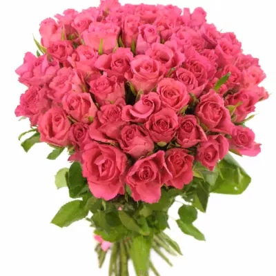 Kytice 55 růžových růží WILD CALYPSO 50cm
