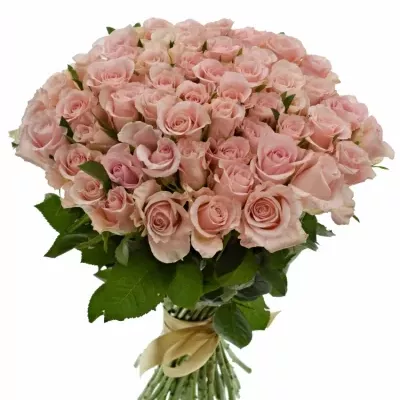 Kytice 55 růžových růží YVONNE 50 cm