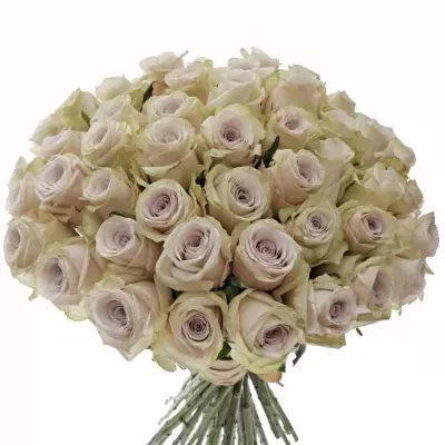 Kytice 55 světle fialových růží SILVERY FLAME 35cm