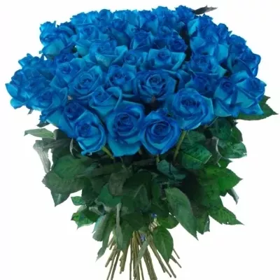 Kytice 55 světle modrých růží LIGHT BLUE VENDELA 