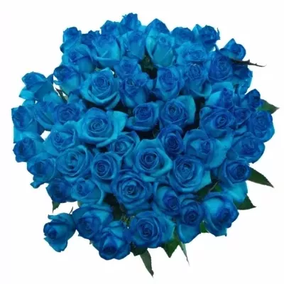 Kytice 55 světle modrých růží LIGHT BLUE VENDELA 90cm